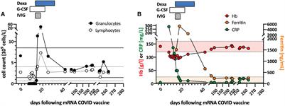 Case Report: mRNA vaccination-mediated STAT3 overactivation with agranulocytosis and clonal T-LGL expansion